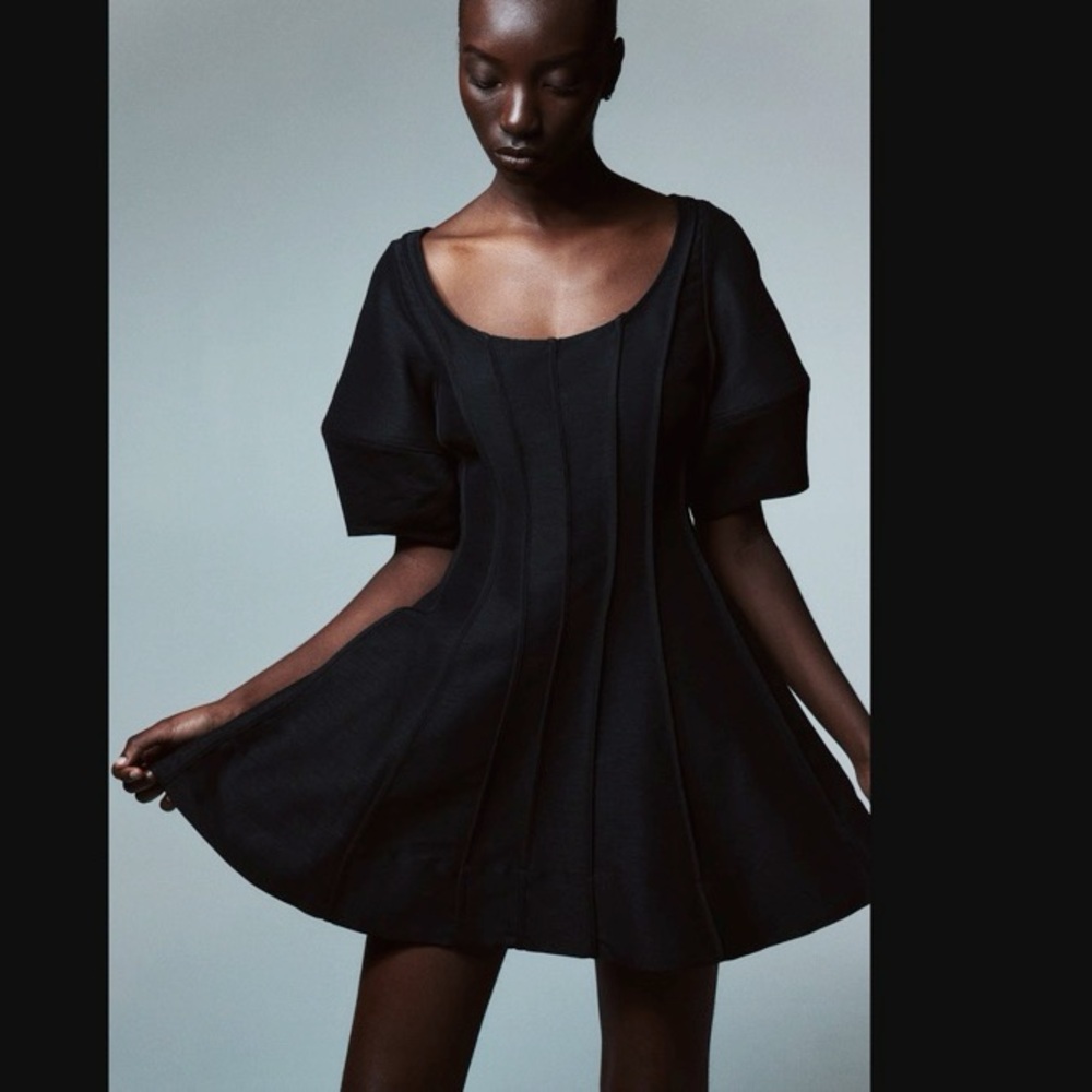 H&M Flared Balloon Sleeve Dress